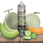 TRUE NORTHERN - cloud chaserz inc