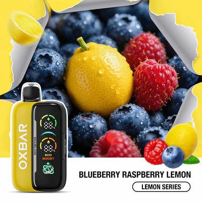 Oxbar Maglink Starter Kit **Includes Battery**