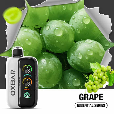 Oxbar Maglink Starter Kit **Includes Battery**